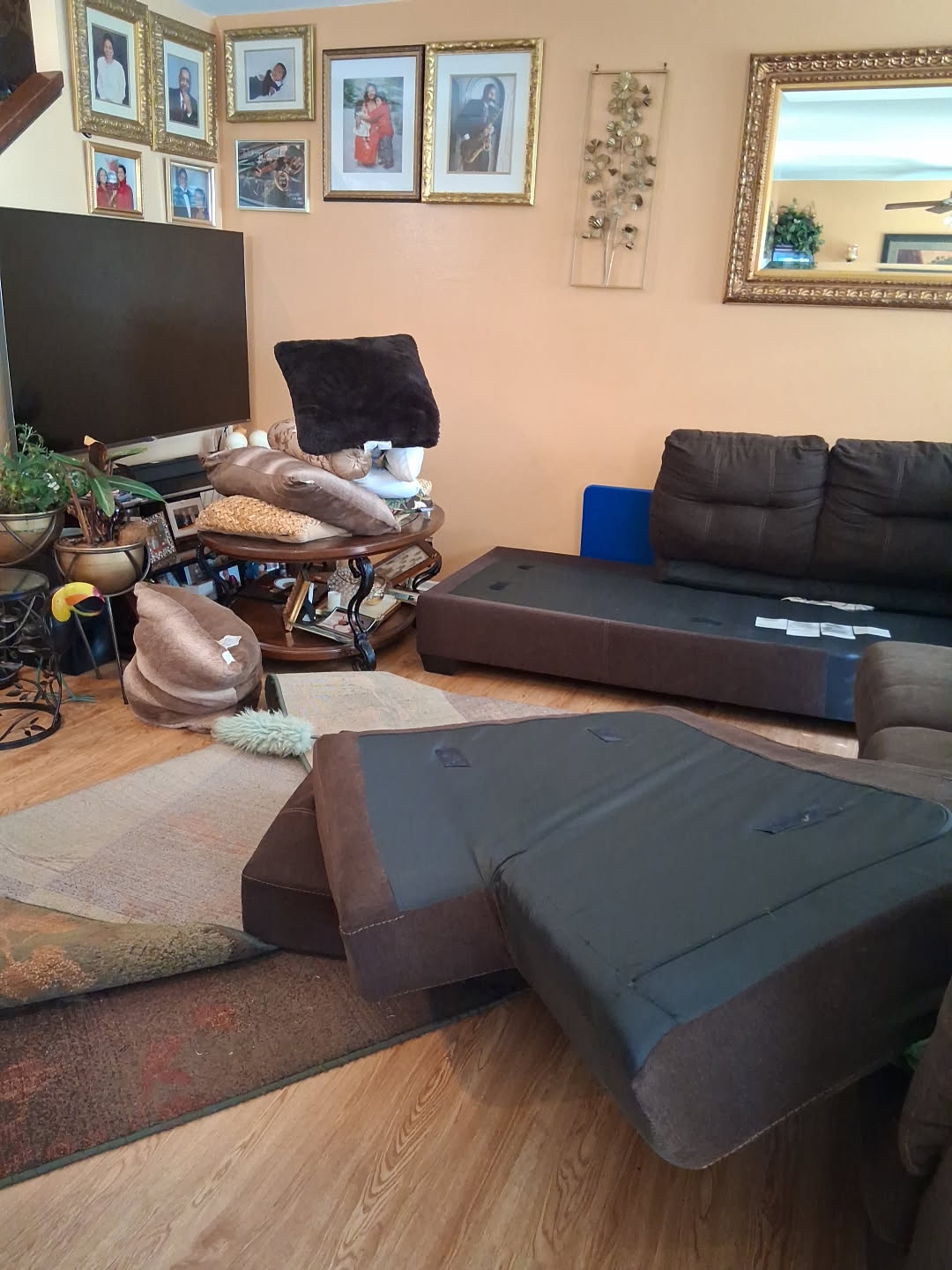 After deep cleaning service in Los Angeles showing a spotless living room